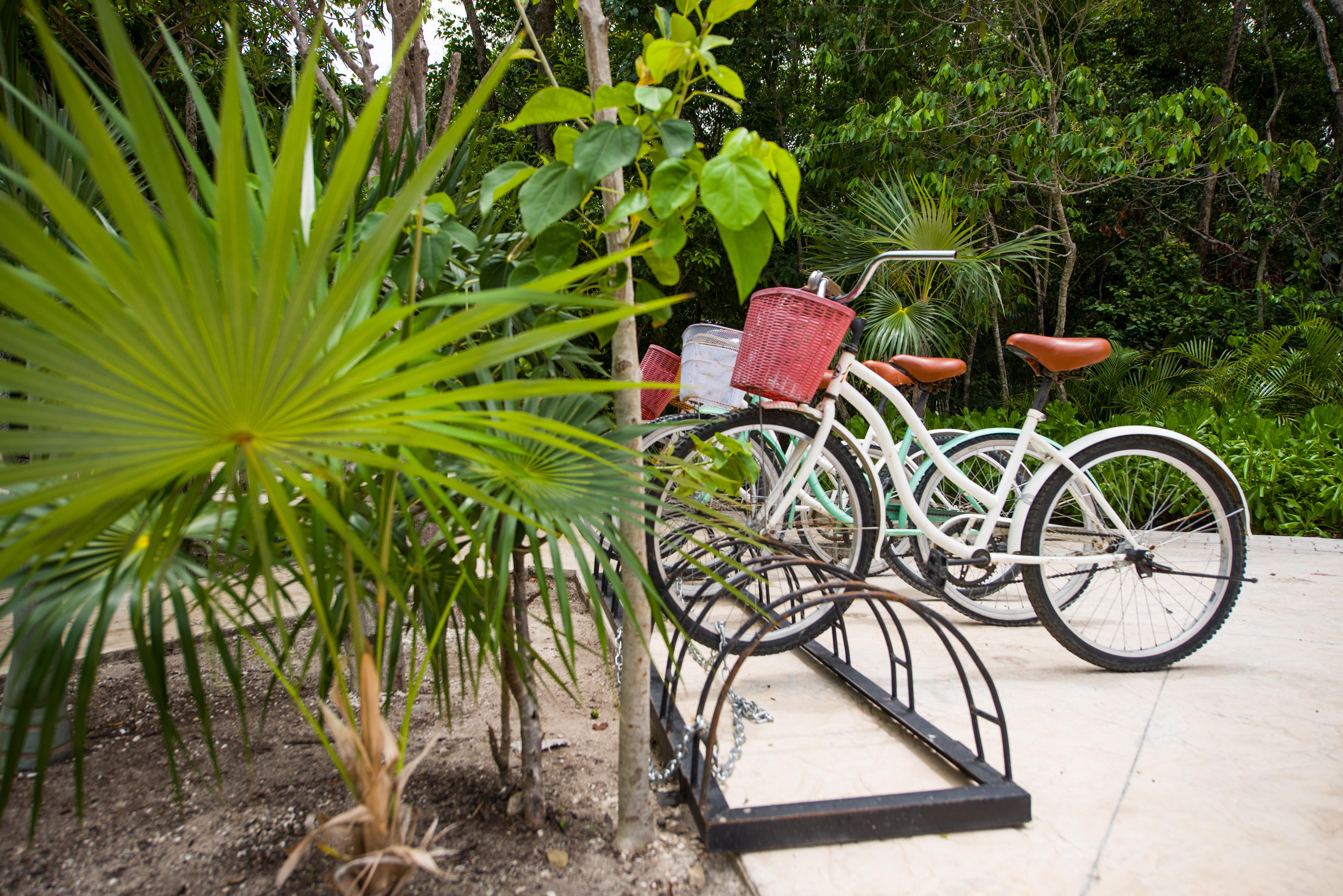 Naay Tulum Curamoria Collection Exterior foto